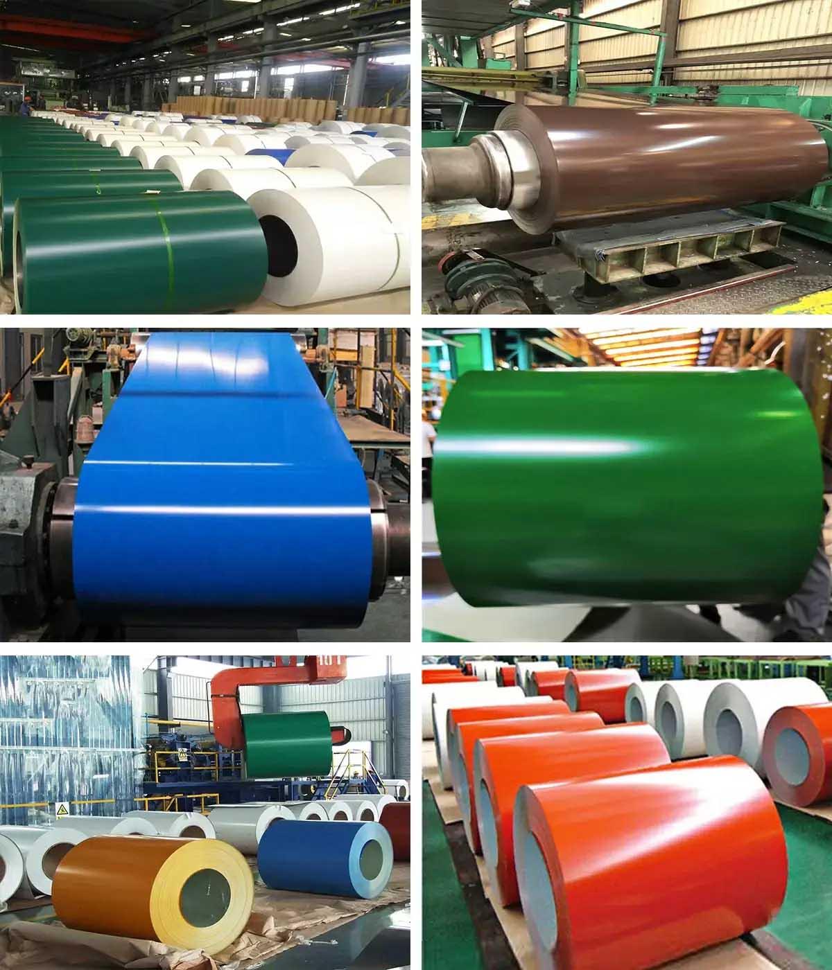 DC01 Color Coated Steel Coil PPGI